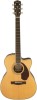 Fender PM-3 Standard Triple-0 Natural Support Question