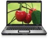 Get support for HP dv9000t - Pavilion - Laptop Notebook