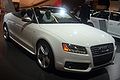 Get support for 2010 Audi S5