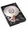 Troubleshooting, manuals and help for Adaptec 2175100 - 73 GB Hard Drive