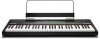 Get support for Alesis Recital 61