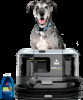 Get support for Bissell BARKBATH Dual Use Portable Dog Bath and Deep Cleaning System 2592