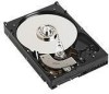 Get support for Dell 341-2933 - 40 GB Hard Drive