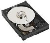 Troubleshooting, manuals and help for Dell Y098D - 500 GB Hard Drive