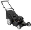Get support for Electrolux 2-N-1 - 961320043 21 in Push Mower