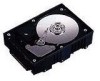 Troubleshooting, manuals and help for Fujitsu MAF3364LC - Enterprise 36.4 GB Hard Drive