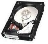 Troubleshooting, manuals and help for Fujitsu MAN3184MC - Enterprise 18.4 GB Hard Drive