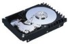 Troubleshooting, manuals and help for Fujitsu MAS3184NC - Enterprise 18.4 GB Hard Drive