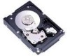 Troubleshooting, manuals and help for Fujitsu MAW3300FC - Enterprise 300 GB Hard Drive