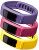 Garmin Energy - Canary/Pink/Violet vivofit 2 Bands New Review
