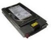Get support for HP 250023-B21 - Compaq 73 GB Hard Drive