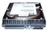 HP 311717-B25 New Review