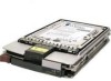 Get support for HP 339509-B21 - Compaq 9.1 GB Hard Drive