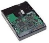 Troubleshooting, manuals and help for HP 349237-B21 - 80 GB Hard Drive