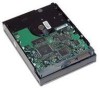 Troubleshooting, manuals and help for HP RJ613AV - 80 GB Hard Drive