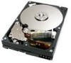 Troubleshooting, manuals and help for Hitachi HDS724040KLSA80 - Deskstar 400 GB Hard Drive