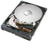 Troubleshooting, manuals and help for Hitachi 0A33484 - CinemaStar 160 GB Hard Drive