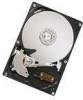 Troubleshooting, manuals and help for Hitachi 0A35393 - Deskstar 320 GB Hard Drive