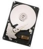Troubleshooting, manuals and help for Hitachi 0A35771 - Ultrastar 750 GB Hard Drive