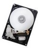Troubleshooting, manuals and help for Hitachi 0A38005 - Deskstar 160 GB Hard Drive