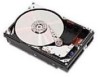 Troubleshooting, manuals and help for IBM 76H0959 - 4.5 GB Hard Drive