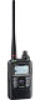 Get support for Icom ID-31A PLUS