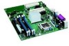 Get support for Intel BOXD915PGNL - Desktop Board D915PGNL