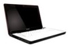 Lenovo Y550 Laptop New Review