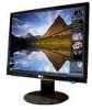 Troubleshooting, manuals and help for LG L196WTQ-BF - LG - 19 Inch LCD Monitor