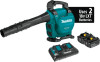 Get support for Makita XBU04PT