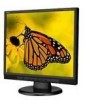 Troubleshooting, manuals and help for NEC ASLCD73VXM-BK - AccuSync - 17 Inch LCD Monitor