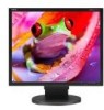 Troubleshooting, manuals and help for NEC EA191M-BK - MultiSync - 19 Inch LCD Monitor