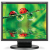 NEC LCD175M-BK New Review