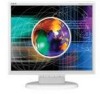 NEC LCD175VX Support Question