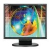 Troubleshooting, manuals and help for NEC LCD175VXM - MultiSync - 17 Inch LCD Monitor