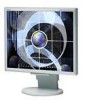 Troubleshooting, manuals and help for NEC LCD1770VX - MultiSync - 17 Inch LCD Monitor