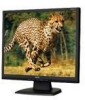 Troubleshooting, manuals and help for NEC LCD17V-BK - MultiSync - 17 Inch LCD Monitor