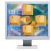 Troubleshooting, manuals and help for NEC LCD1960NXI - MultiSync - 19 Inch LCD Monitor