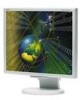Troubleshooting, manuals and help for NEC LCD1970NX - MultiSync - 19 Inch LCD Monitor
