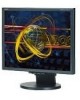 Troubleshooting, manuals and help for NEC LCD1970V-BK - MultiSync - 19 Inch LCD Monitor