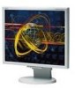 Get support for NEC LCD1970VX-2 - MultiSync - 19