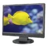 NEC LCD19WMGX New Review