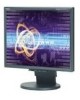 Troubleshooting, manuals and help for NEC LCD2070VX-BK - MultiSync - 20 Inch LCD Monitor
