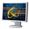 Troubleshooting, manuals and help for NEC LCD2070WNX - MultiSync - 20.1 Inch LCD Monitor