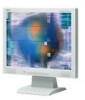 Troubleshooting, manuals and help for NEC LCD52VM - AccuSync - 15 Inch LCD Monitor