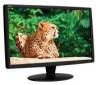 Troubleshooting, manuals and help for NEC V191W-BK - 19 Inch LCD Monitor