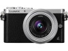 Troubleshooting, manuals and help for Panasonic DMC-GM1K
