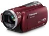 Troubleshooting, manuals and help for Panasonic HDC-TM20-R - SD & HDD Camcorder