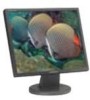 Troubleshooting, manuals and help for Samsung 940BF - SyncMaster - 19 Inch LCD Monitor