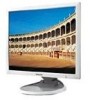 Troubleshooting, manuals and help for Samsung 960BF - SyncMaster - 19 Inch LCD Monitor
